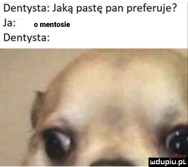dentysta jaką pastę pan preferuje ja o mentosie dentysta