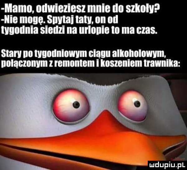 mama. odwlezlesz mnie na szlam i i mucu. sum law. nn ilii lvnnnnla saum na ufnie lal ma czas stan lill ngdiiiiiiwniii ęiiii allunnlnwm. ilﬂlaﬂlllllm l remomem i ioszonlem trawnika wdupiu pl