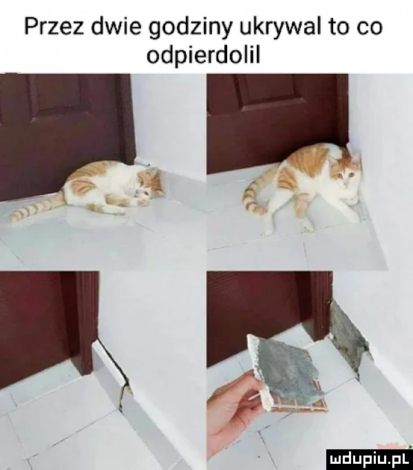 przez dwie godziny ukrywal to co odpierdolil