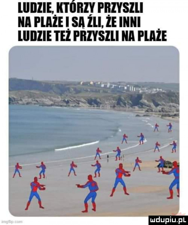Obrazek
