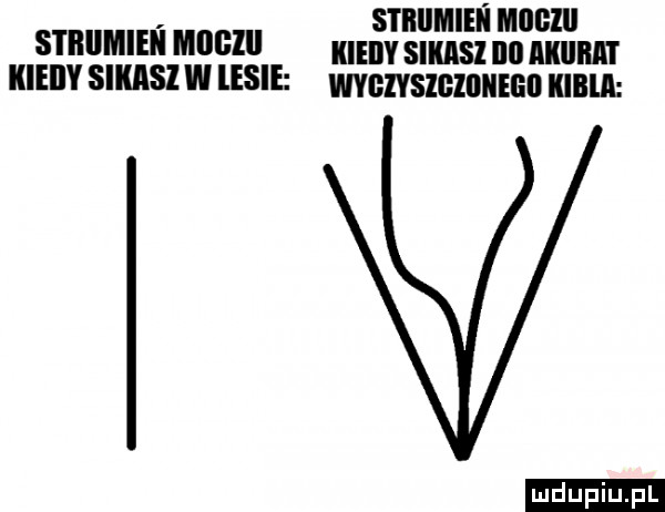smumiń moczu saw m    kiedy scms nn aiiiiiia i kieiiy siiuisi w lesie wyezysigidiiied my ludu iu. l