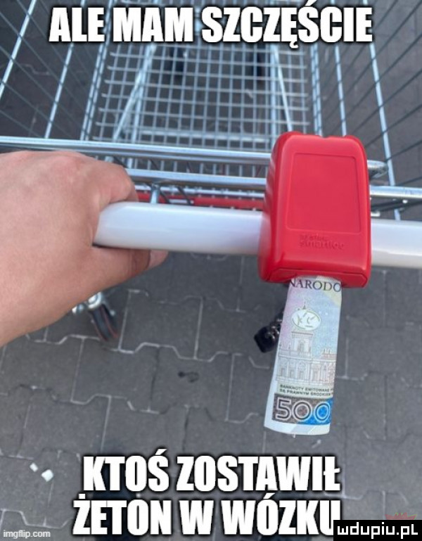 mienia szgzęsgie ibl leś ibis i iiwii  i tibii w wazkip p fl
