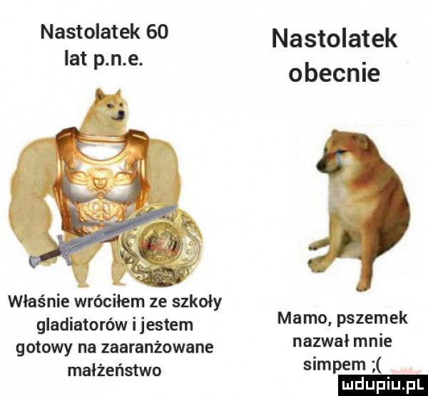 nastolatek    nastolatek lat p n e. obecnie właśnie wróciłem ze szkoły gladiatorów i jestem mamo pszernek gotowy na zaaranżowane nalewał mme małżeństwo slipem ludu iu. l