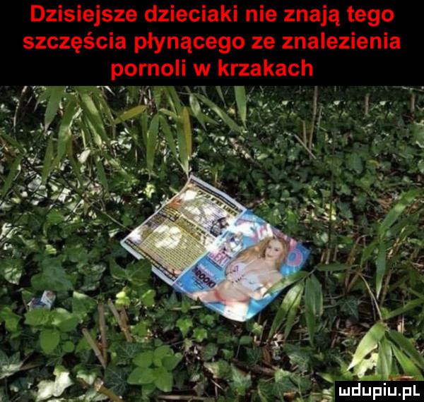dzisiejsze dzieciaki nie znają tego szczęścia płynącego ze znalezienia pornoli w krzakach
