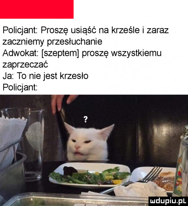 policjant proszę usiąść na krześle i zaraz zaczniemy przesłuchanie adwokat szeptem proszę wszystkiemu zaprzeczać ja to nie jest krzesło policjant