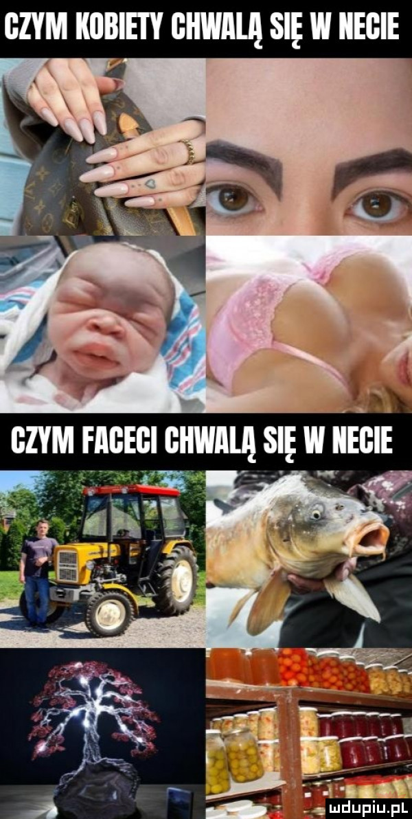Obrazek