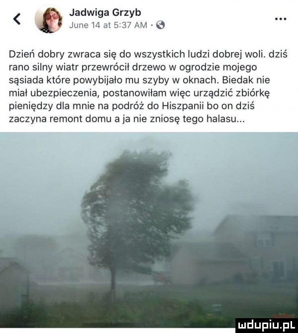 jadwiga grzyb jane m        am e dzień dobry zwraca się do wszystkich ludzi dobrej woli dziś rano silny wiatr przewrócii drzewo w ogrodzie mojego sąsiada które powybiiaio mu szyby w oknach. biedak nie mial ubezpieczenia postanowiłam więc urządzić zbiórkę pieniędzy dla mnie na podróż do hiszpanii bn on dziś zaczyna remont domu a ja nie zniosę tego halasu