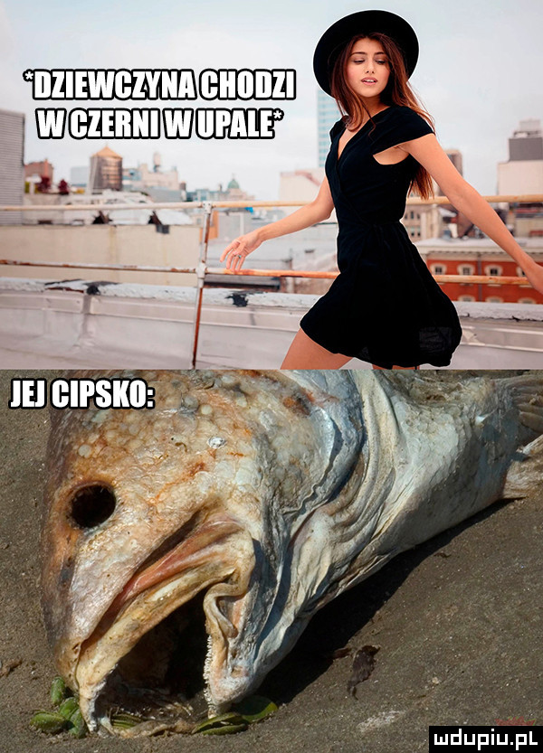 maﬁpiﬁﬁl