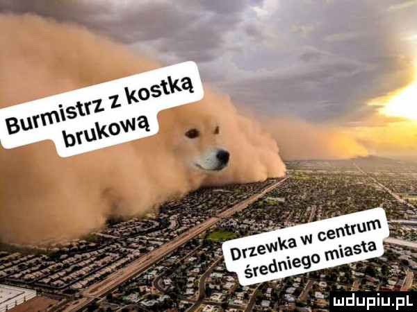 Obrazek