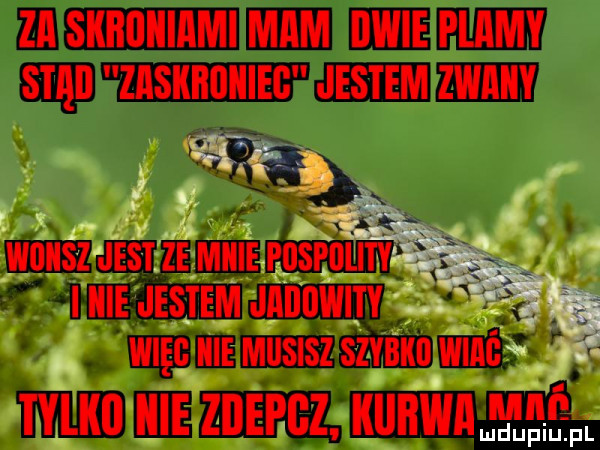 zhi siiiiiiiiiiimi moim ikwie pliimy stąd zasitituiiieg jestem zwiiiiy.    p z. zm są wutisz jest ze micie pospﬂliiy c v. if i icie jasi em iiiiiiiiwiiy a l więc icie musisz szybki wine tłlitii w icie zdebgz itiiitwtl l łłtefl