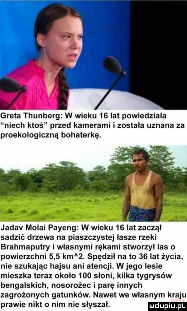 greta thunberg w wieku    lat powiedziała niech ktos przed kamerami i została uznana za proekologiczna bohaterkę. jadav malai payeng w wieku    lat zaczął sadzić drzewa na piaszczystej łasze rzeki brahmaputry i własnymi rękami stworzył las o powierzchni     km  . spędził na to    lat życia nie szukając hajsu ani atencji. w jego lesie mieszka teraz około     słoni kilka tygrysów bengalskich nosorożec i parę innych zagrożonych gatunków. nawet we własnym kraju prawie nikt o nim nie słyszał