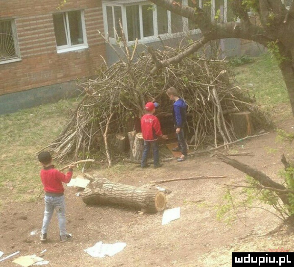 mduplu pl