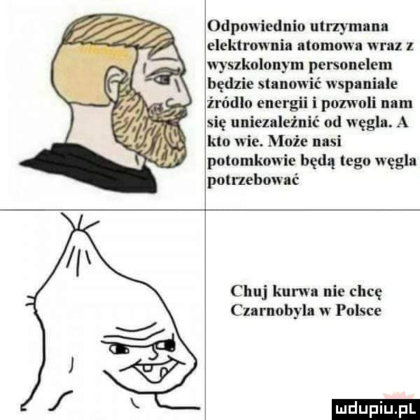 odpowiednio utrzymana elektrownia atomowa wraz z wyszkolonym personelem będzie stanowić wspaniale źródło energii i pozwoli nam się uniezależnić od węgla. a kto wie. nimże nasi potomkowie będą tego węgla potrzebować chuj kurwa nie chcę czarnobyla w polsce