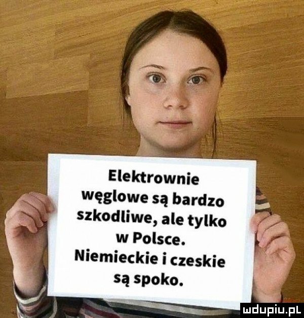 elektrownie węglowe są bardzo szkodliwe ale tylko w polsce. niemieckie i czeskie są spoko