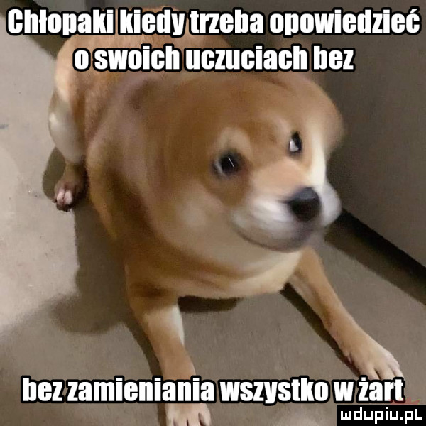 unlonﬂgdlrarzem onﬂliellzieé lf x iii zamlenlanla wsivsiko w zart m m