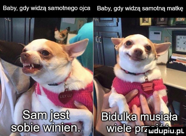 baby. gdy widzą samotnego ojca baby gdy widzą samotną matkę