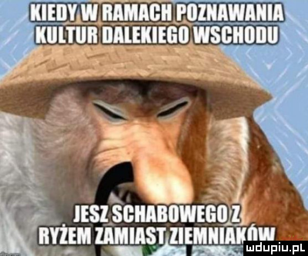 kieiiyivi ramach boiiaviiiii kliliijii ilalekieęll vlsﬂllllllll uszscmnwmuvz may lam inwmmgym pl