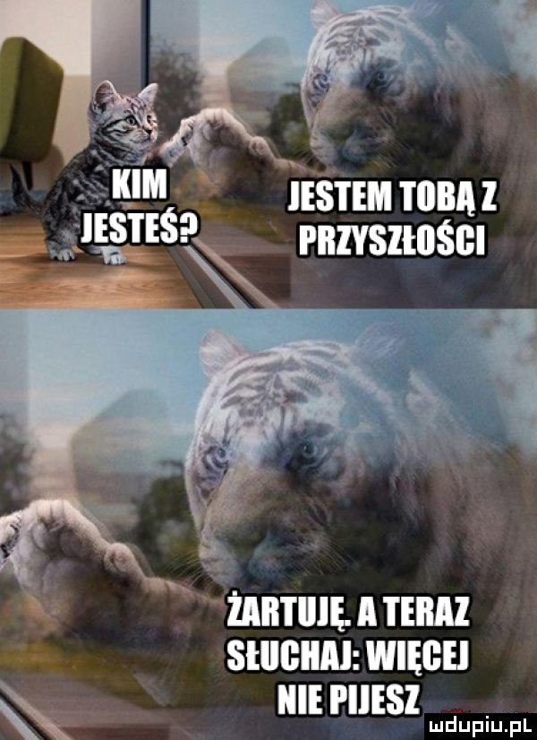 ieśtem toba l piiiysiłiiśgi żen u   mnnz swemu. mun w iiiei iiesi lud upiu. pl