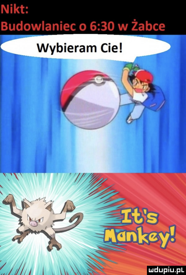 wybieram cie