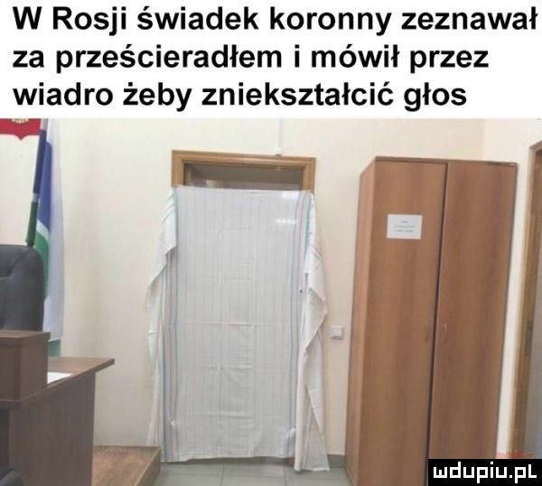 w rosji świadek koronny zeznawał za prześcieradłem i mówił przez wiadro żeby zniekształcić głos