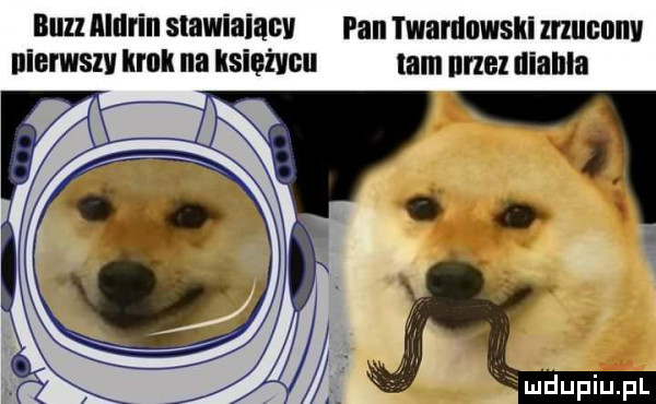 buu aldrin stawiaiacv pan twamnwski zuucnllv nierwstv krok na księżycu lam przez ilianla r