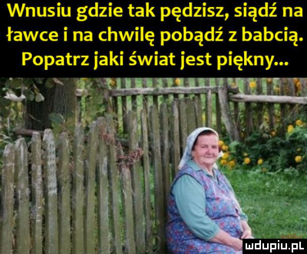 Obrazek