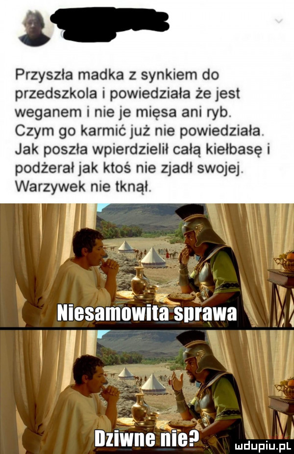 przyszła madka z synkiem do przedszkola i powiedziała że jest wegabem i nie je mięsa ani ryb. czym go karmićjuż nie powiedziała. jak poszła wpierdzielił całą kiełbasę i podżerai jak ktoś nie zjadł swojej. warzywek nie tknął. abakankami. niesamowita skrawa i   ii f   ng r i ﬂame me pr