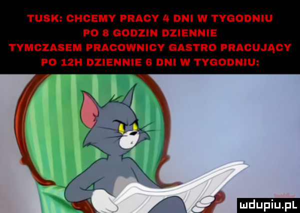 tusk chcemy pracy   dni w tygodniu po   godzin dziennie tymczasem pracownicy gastro fragująoy p    h dziennie   dni w tygodniu