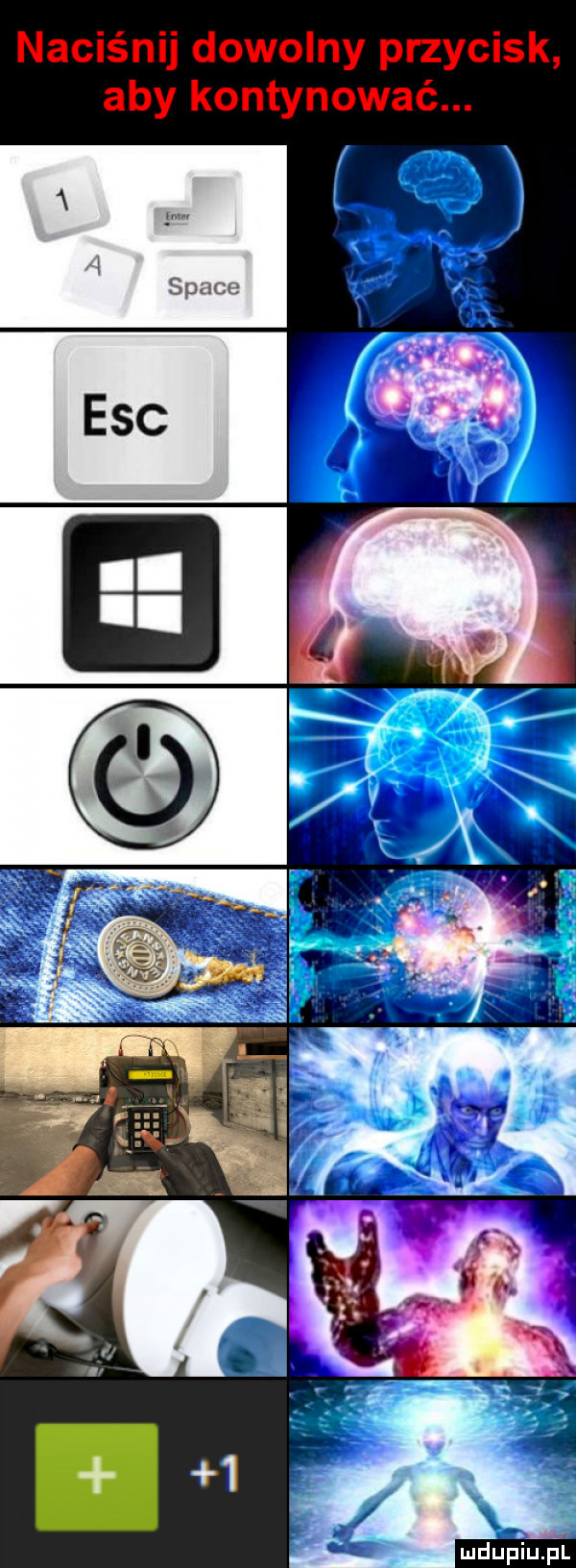 upiu pl
