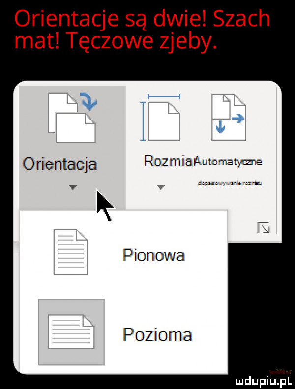 orientacje są dwie szach mat tęczowe zjeby. orientacja rozmvariutc matma v   a. pionowa pozioma