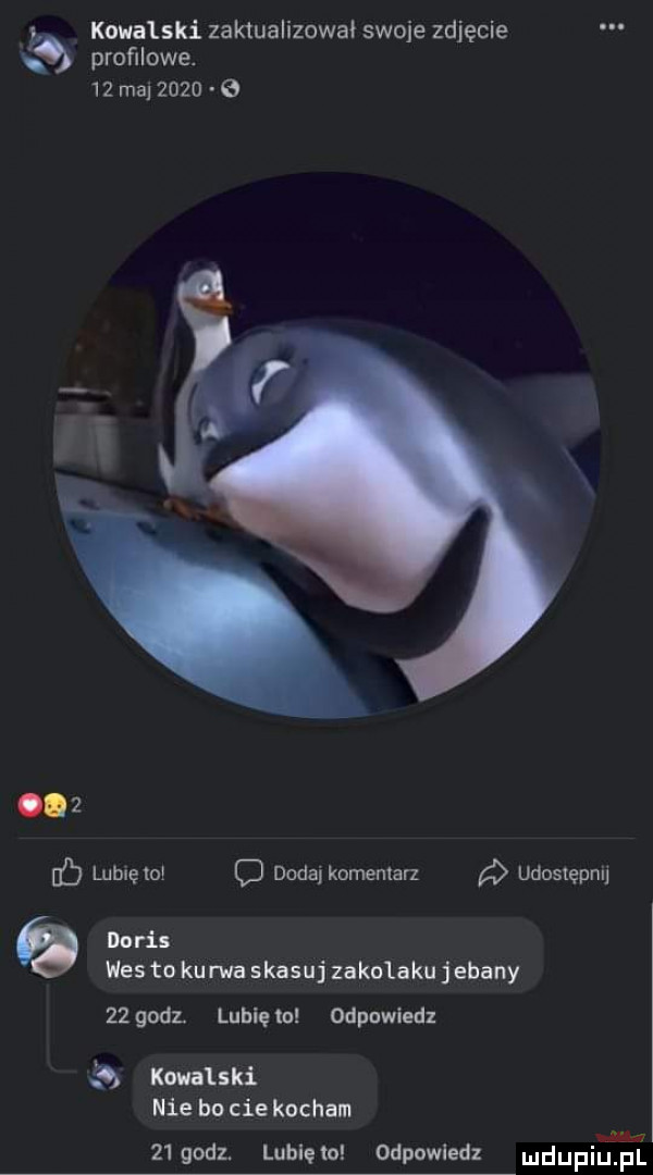 g kowalski zaktualizował swoje zdjęcie proﬁlowe.    maj      e. f lubię o c dodaj komentarz udostępnij do ras was to ku ma skasuj zakolaku jebany    gad. lubie ol odpowiedz   kowalski nie bo cie kocham i    godz. lubie odpowiedz