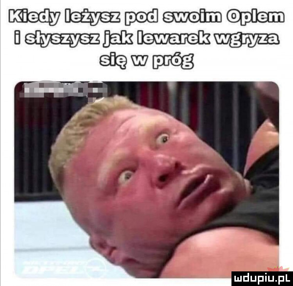 pod sw lm   upiu pl