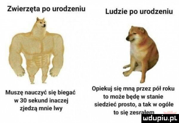 zwierzęta urodzeniu ludzie po urodzeniu muszę nauczyć. ibl gut się mną przez roku m może ind. w mela w   sekund inaczej sladzloć rosło nk w ogóle mm melo lwy p ml