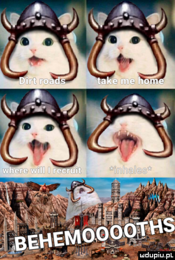 Obrazek