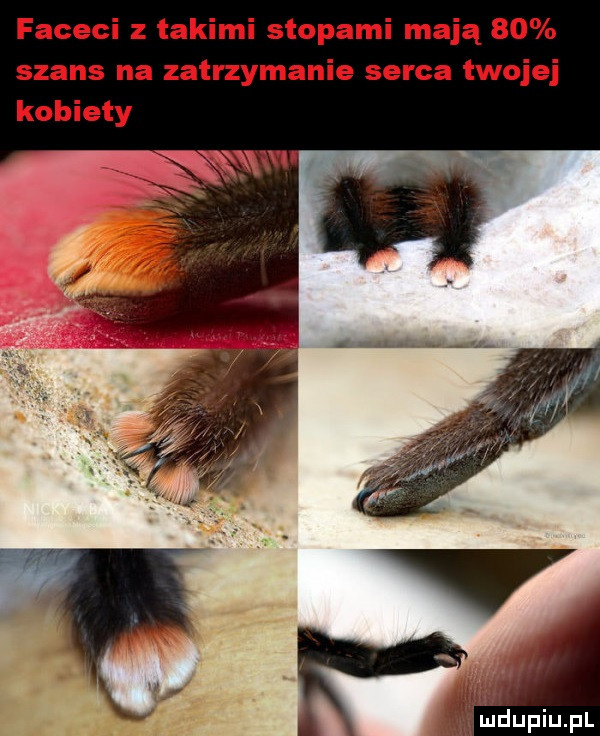 faceci z takimi stopami mają    szans na zatrzymanie serca twojej kobiety