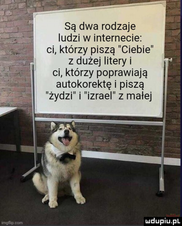 są dwa rodzaje ludzi w internecie ci którzy piszą ciebie z dużej litery i ci którzy poprawiają autokorektę i piszą żdei izraei zmalej