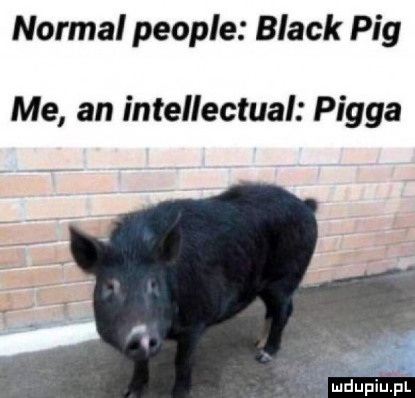 normal people black pbg me an intellectual piega