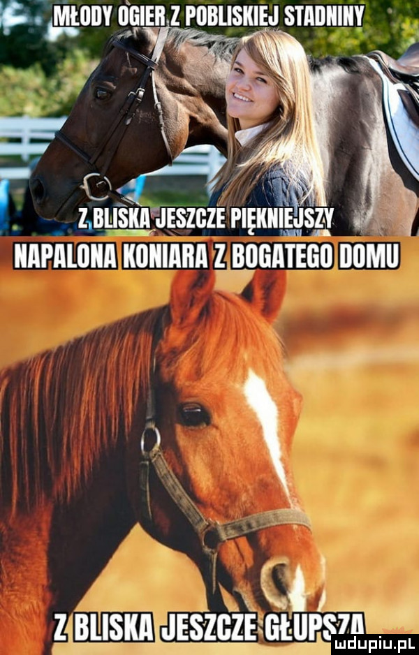 estaijiiiiiy p wunv pglgnz musu r gx zmuąknleszczmgnulggsa   iiapaliiiia kﬂlllllﬂll l eqeiiieeo domu   m. abakankami lgﬂskﬂggﬁs zﬂleiﬁtyﬁm j