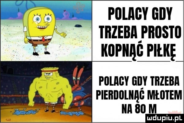 polacy gdy ę trzeba pbosio kopnąg piłkę   an an trzeba. nmnumqćmmum unsnm