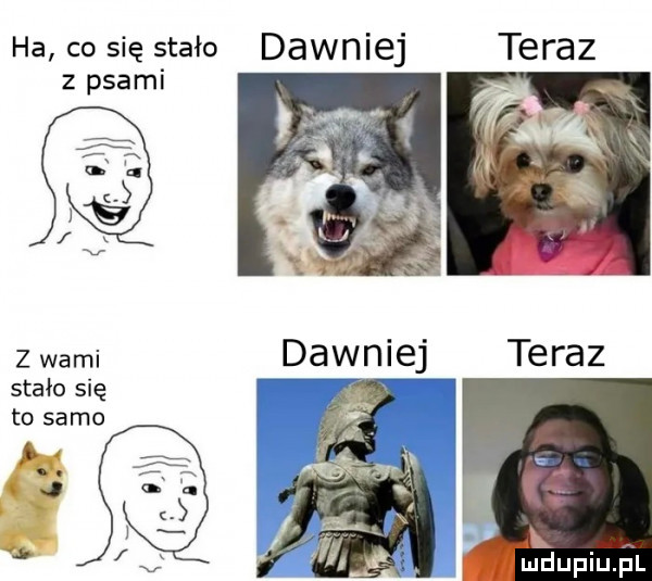 ha co się stało teraz z psami dawniej z wami stało się to samo