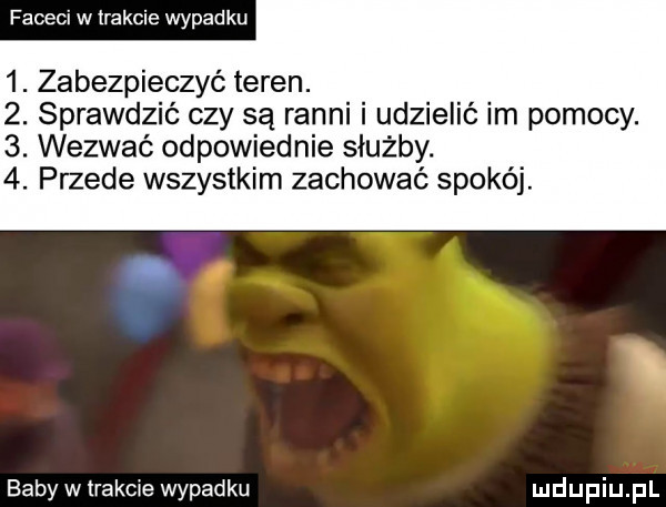 faceci w irakcie wypadku  . zabezpieczyć teren.  . sprawdzić czy są ranni i udzielić im pomocy.  . wezwać odpowiednie służby.  . przede wszystkim zachować spokój. baby wtrakcie wypadku