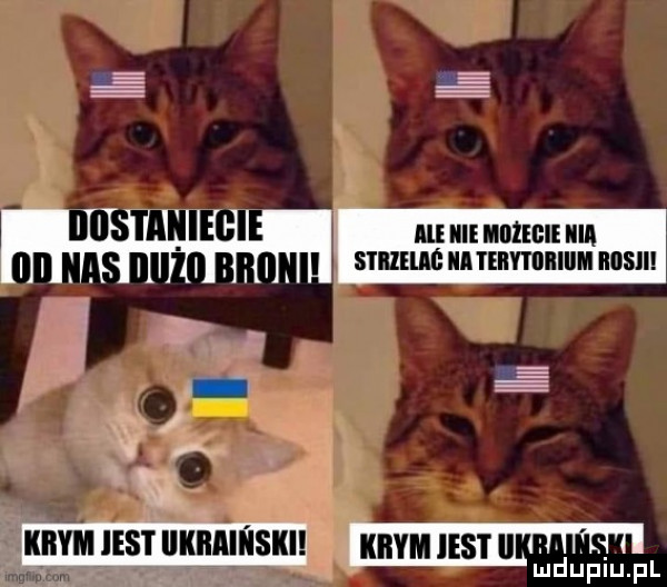 mm ham mmmulmlzum i smzmenmnmnluunwu i r. lllm mm rm maﬁpiupl