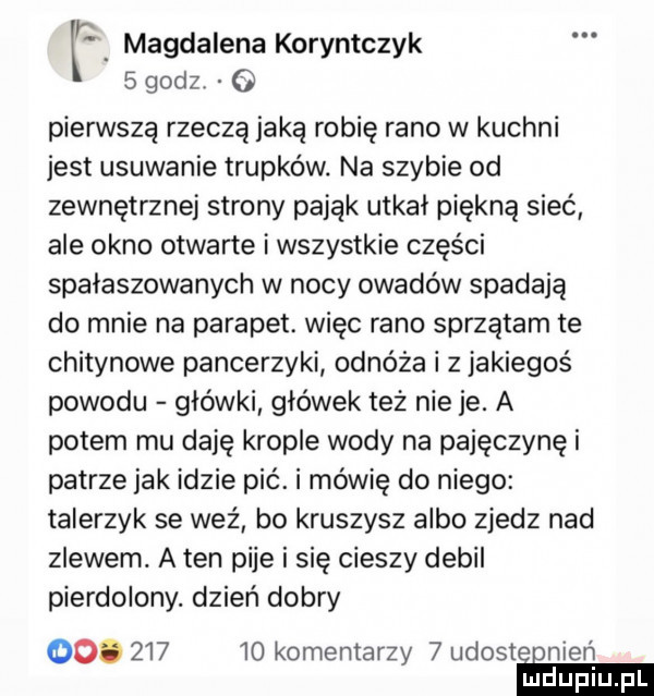 magdalena koryntczyk   godz. o pierwszą rzeczą jaką robię rano w kuchni jest usuwanie trupków. na szybie od zewnętrznej strony pająk utkal piękną sieć ale okno otwarte i wszystkie części spałaszowanych w nocy owadów spadają do mnie na parapet. więc rano sprzątam te chitynowe pancerzyki odnóża i   jakiegoś powodu główki główek też nie je. a potem mu daję krople wody na pajęczynę i patrze jak idzie pić. i mówię do niego talerzyk se weź bo kruszysz albo zjedz nad zlewem. a ten pije i się cieszy debil pierdolony. dzień dobry   .        komentarzy   udostiinien