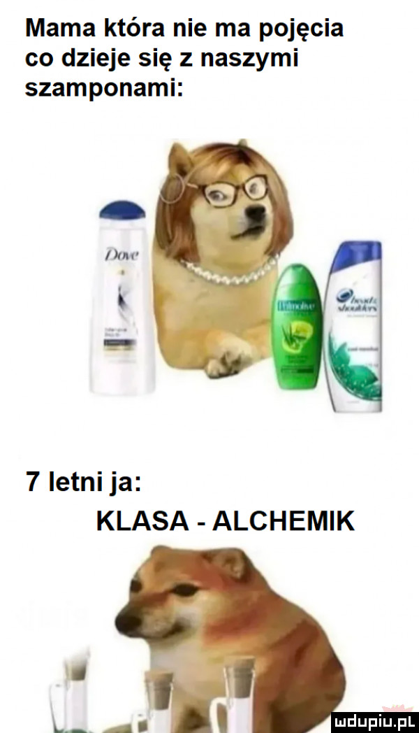 mama która nie ma pojęcia co dzieje się z naszymi szamponami   letni ja klasa alchemik