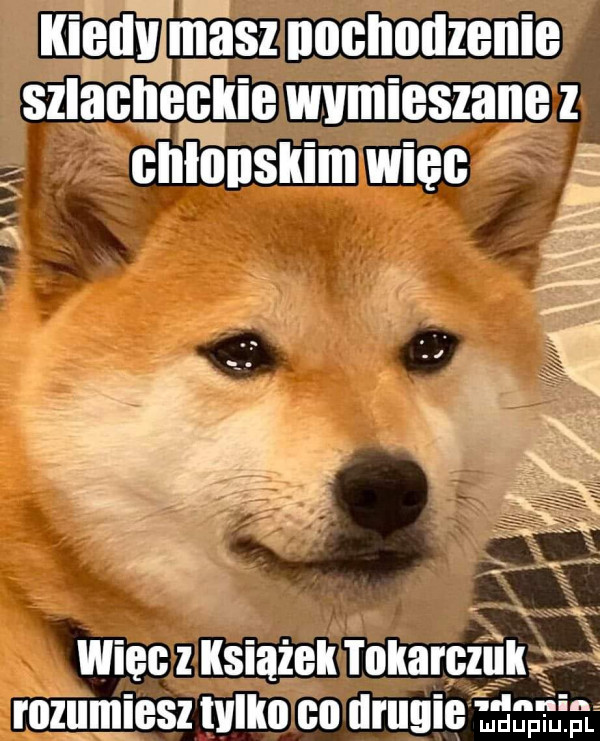 Obrazek