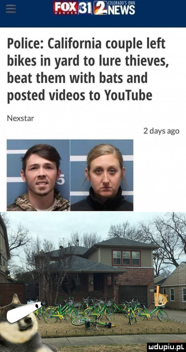 e       news police california couple lift bikes in yard to lure thieves beat them with baas and posted videos to youtube nexstar   dans ago a