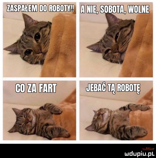 mmm m adm   mma  a. mi