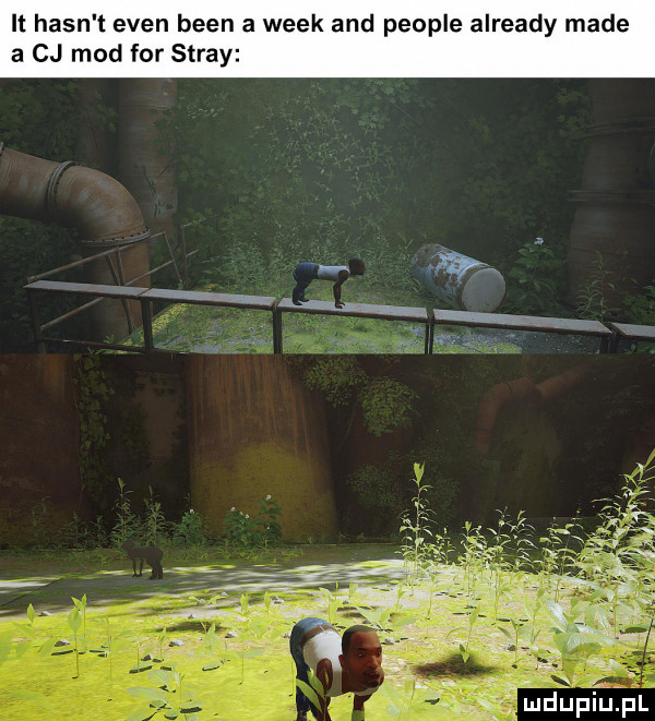 it hafn t eden bean a wiek and people already made a cj mod for spray