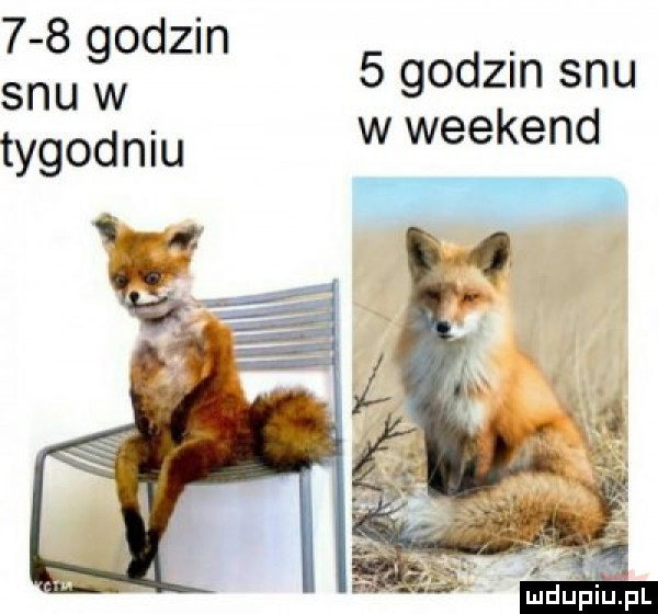 godzin snu w tygodniu   godzin snu w weekend