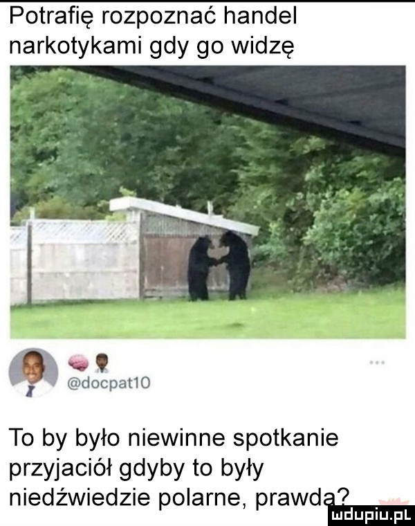 potrafię rozpoznać handel narkotykami gdy go widzę t i docpaﬁo to by było niewinne spotkanie przyjaciół gdyby to były niedźwiedzie polarne prawni i